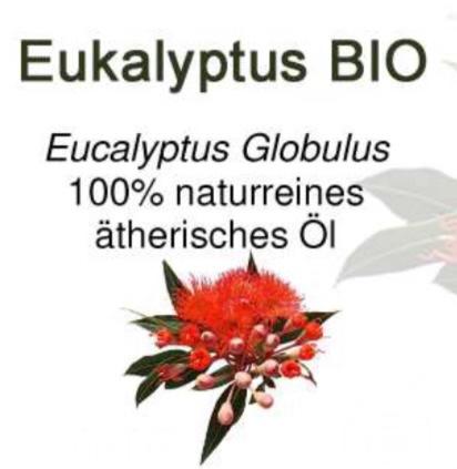 Eucalyptus globulus BIO, 5 ml, huile essentielle